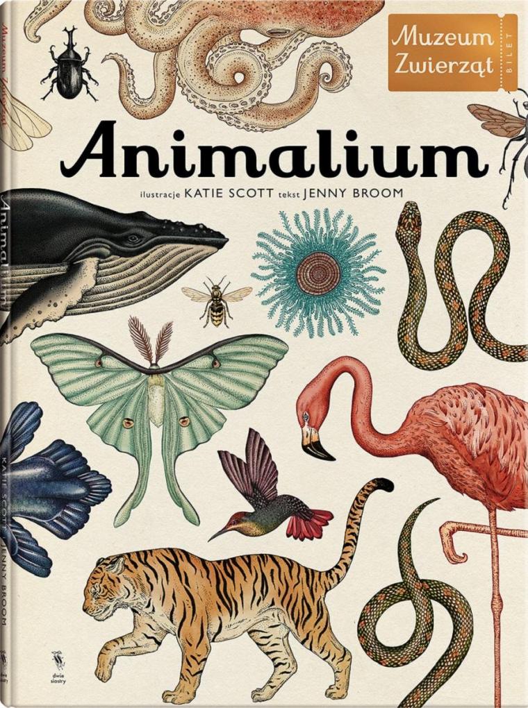 animalium-2-900-1208-s